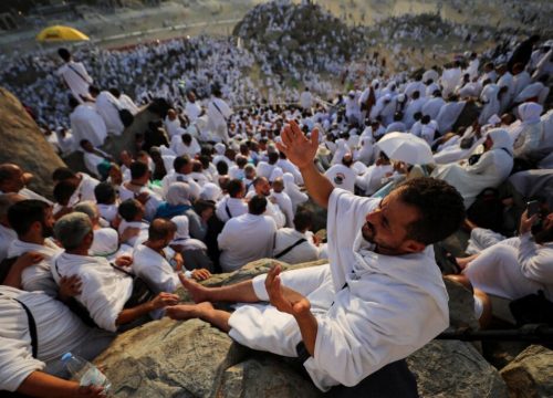 مستوى الصفوة